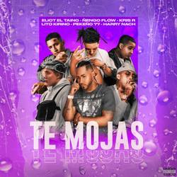 Portada de Te Mojas