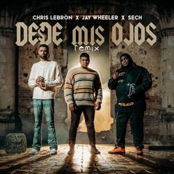 Portada de Desde Mis Ojos (Remix)