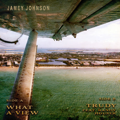 Portada de What A View / Trudy