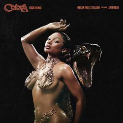 Portada de Cobra (Rock Remix) [feat. Spiritbox]