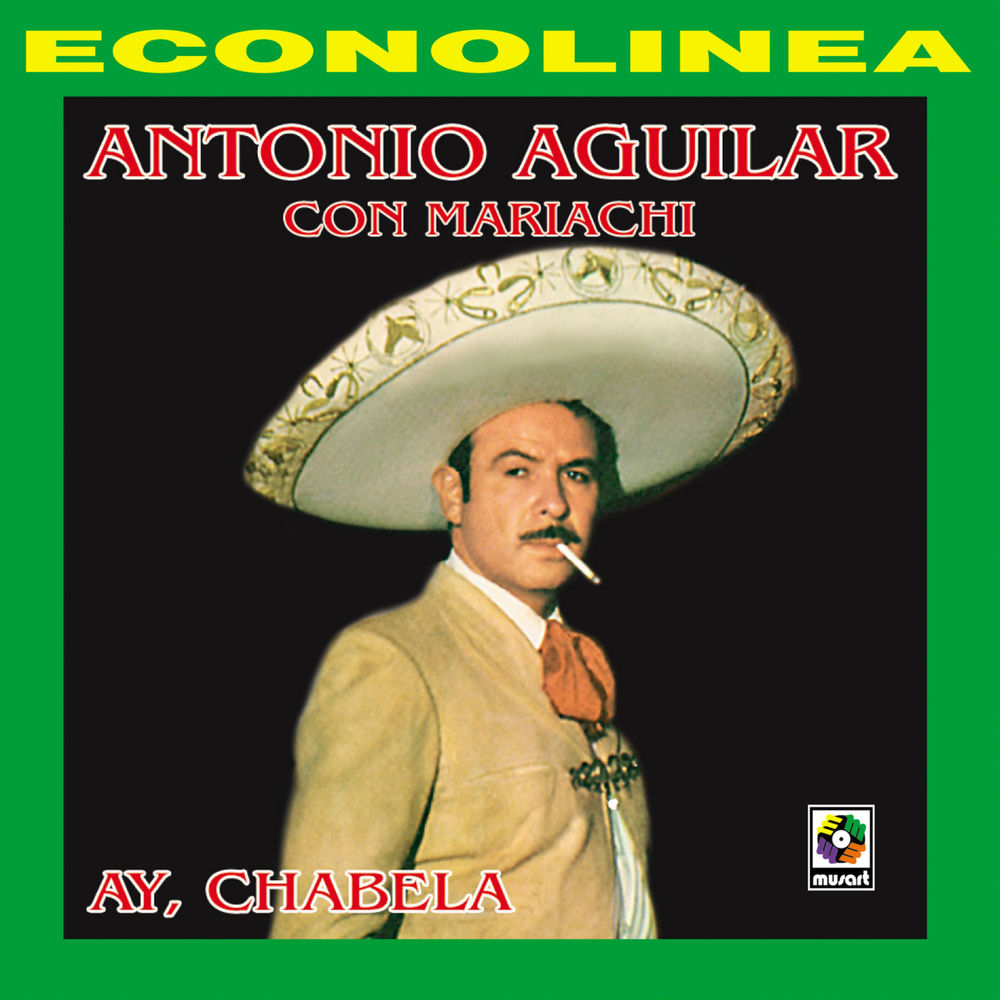Portada de Paloma Errante
