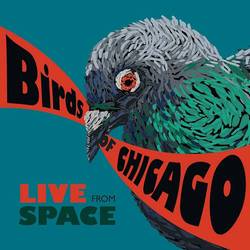 Portada de Live From Space (Evanston, Illinois / June 28, 2013)