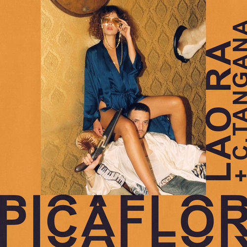 Portada de Picaflor