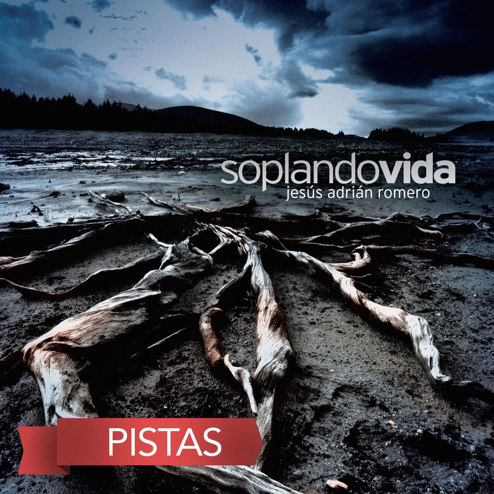 Portada de Brilla (Pista)