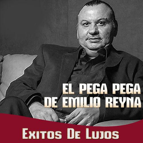 Portada de Exitos De Lujos