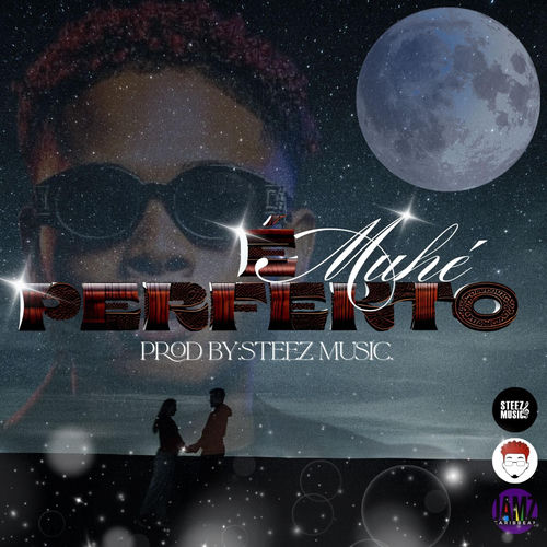 Portada de E Muhé Perfekto (feat. Steez Music)