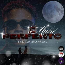Portada de E Muhé Perfekto (feat. Steez Music)