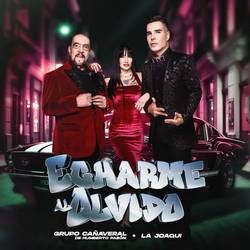 Portada de Echarme Al Olvido