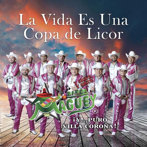 Portada de La Vida Es una Copa de Licor