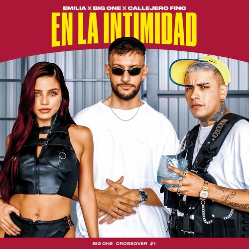Portada de En La Intimidad | CROSSOVER #1