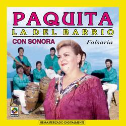 Portada de Falsaria