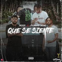 Portada de Que Se Siente