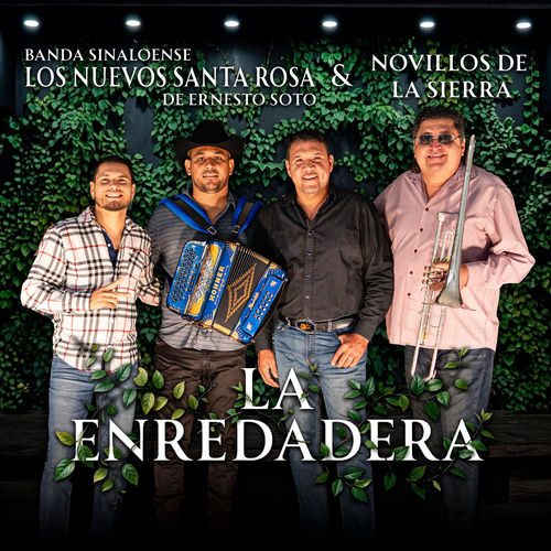 Portada de La Enredadera
