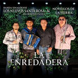 Portada de La Enredadera