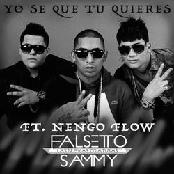 Portada de Yo Sé Que Tú Quieres