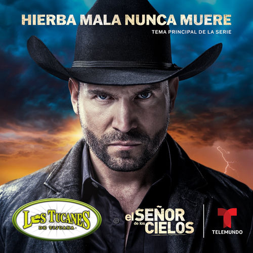 Portada de Hierba Mala Nunca Muere (Música Original de la Serie el Señor de los Cielos 8)