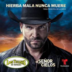 Portada de Hierba Mala Nunca Muere (Música Original de la Serie el Señor de los Cielos 8)