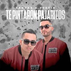 Portada de Te Pintaron Pajaritos