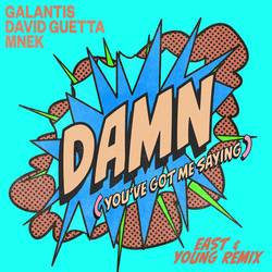 Portada de Damn (You’ve Got Me Saying) (East & Young Remix)