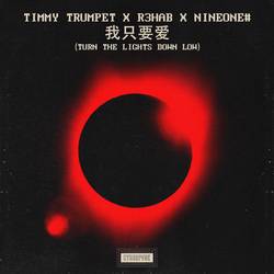 Portada de Turn The Lights Down Low (Chinese Version)