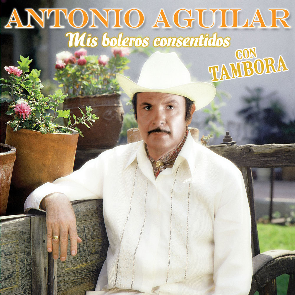 Portada de Vagabundo
