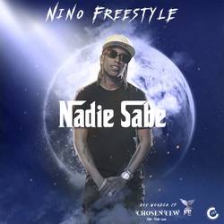 Portada de Nadie Sabe