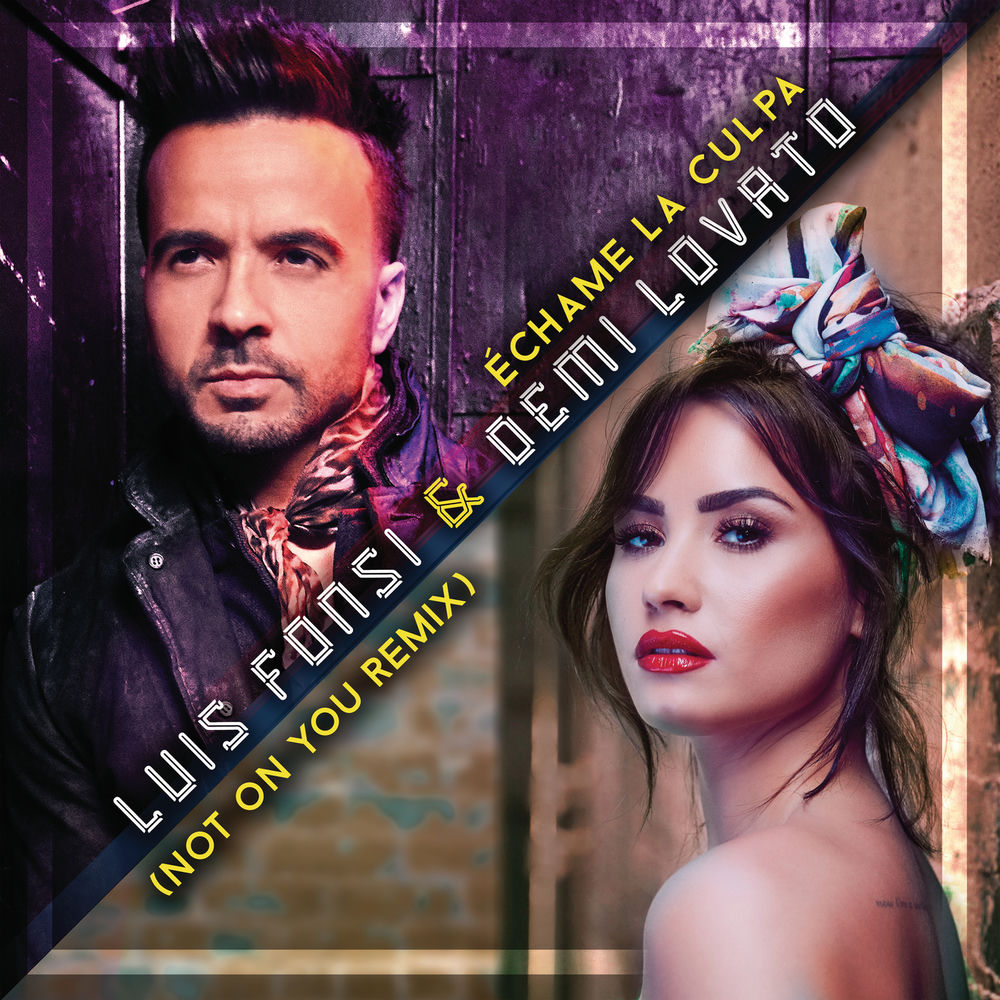 Portada de Échame La Culpa (Not On You Remix)