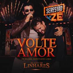 Portada de Volte Amor (Ao Vivo em Linhares)