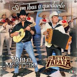 Portada de Si No Ibas a Quedarte