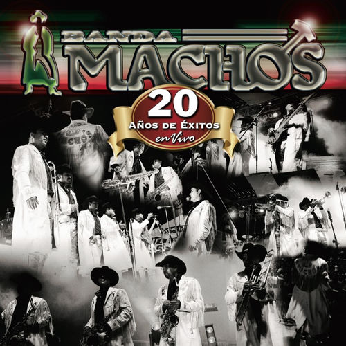 Portada de 20 Años De Exitos En Vivo