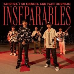 Portada de Inseparables