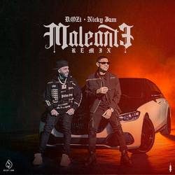 Portada de Maleante (Remix)