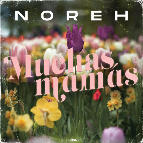 Portada de Muchas Mamás (Versión Solo)