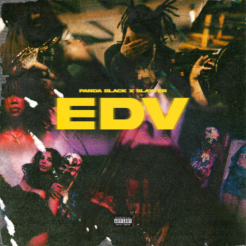 Portada de EDV