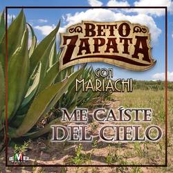 Portada de Me Caíste del Cielo