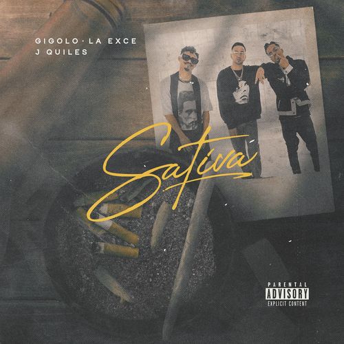 Portada de Sativa
