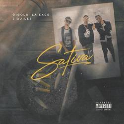 Portada de Sativa