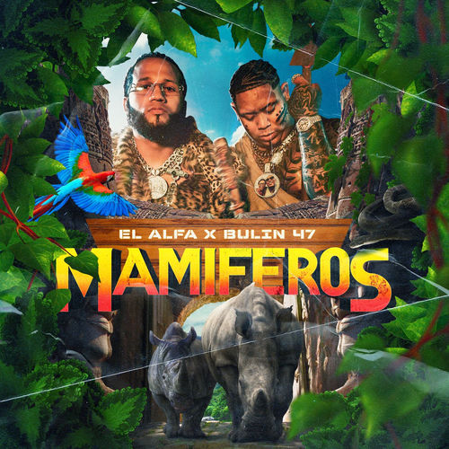Portada de Mamiferos