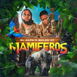 Portada de Mamiferos
