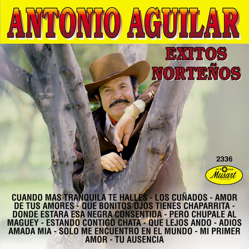 Portada de Éxitos Norteños