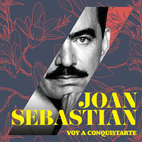 Portada de Voy A Conquistarte