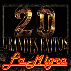 Portada de 20 Grandes Exitos