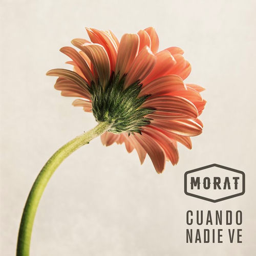 Portada de Cuando Nadie Ve