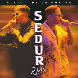 Portada de SEDUR (Remix)