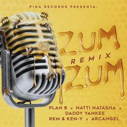 Portada de Zum Zum (Remix)