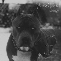Portada de Perro Es Perro