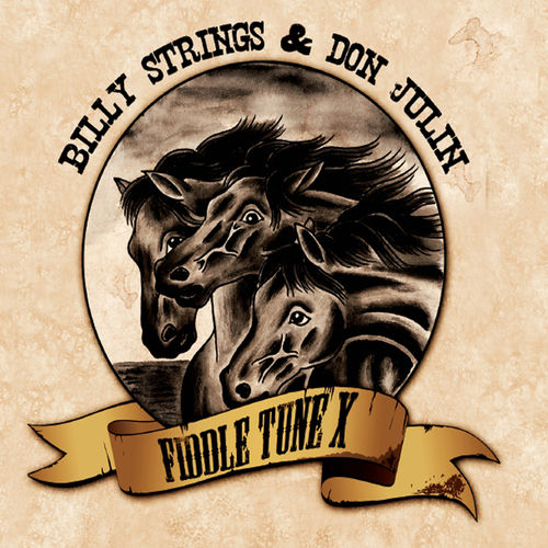 Portada de Fiddle Tune X