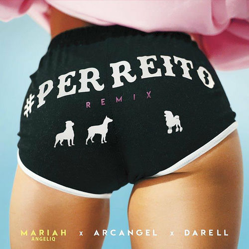 Portada de Perreito (Remix)