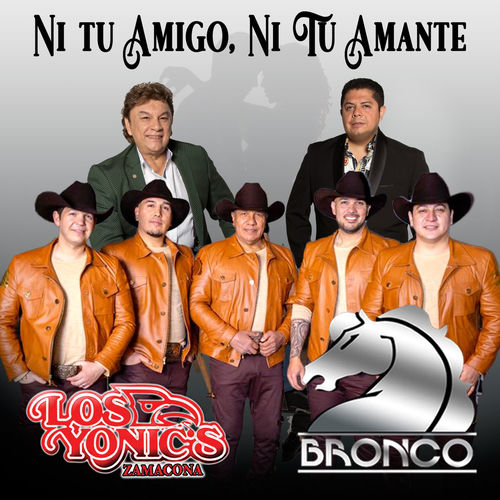 Portada de Ni Tu Amigo, Ni Tu Amante