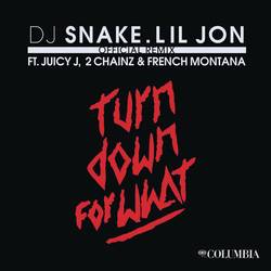 Portada de Turn Down for What (feat. Juicy J, 2 Chainz & French Montana) (Official Remix)